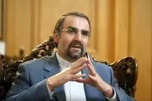 ‌سنایی: کناره‌گیری ظریف  بر دولت تحمیل شد

