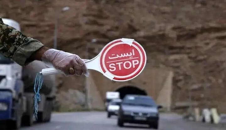 هشدار: سگ‌گردانی با خودرو ممنوع شد