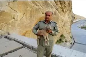قاتل محیط‌بان خائیز در عملیات ضربتی پلیس بهبهان دستگیر شد