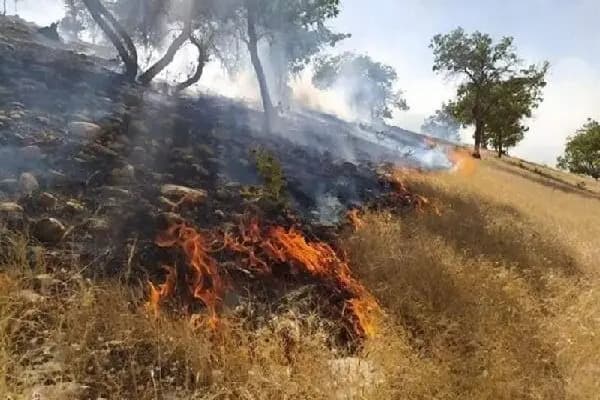رعد و برق و باران تند اردبیل را فرا می‌گیرد