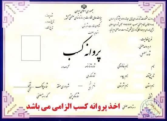  فیل غول‌پیکر مهمان یک فروشگاه شد!
