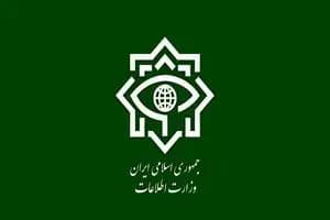 یک اتفاق عجیب در روز انتخابات هیات رئیسه مجلس؛ پخش گسترده تراکت‌های تبلیغاتی! 