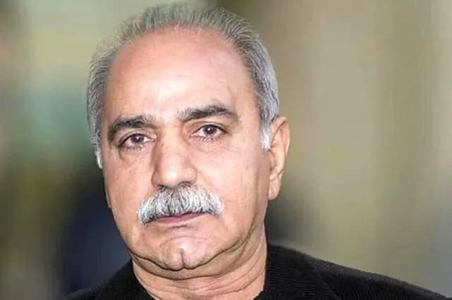 عکسی از پارسا پیروزفر در کنسرت خواننده مشهور