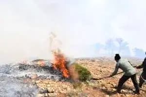  آتش در منطقه حفاظت شده سبز کوه چهار محال و بختیاری مهار شد