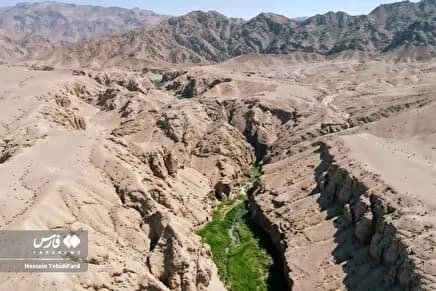 شبکه‌سازی مجمع خانواده در راستای تحکیم خانواده