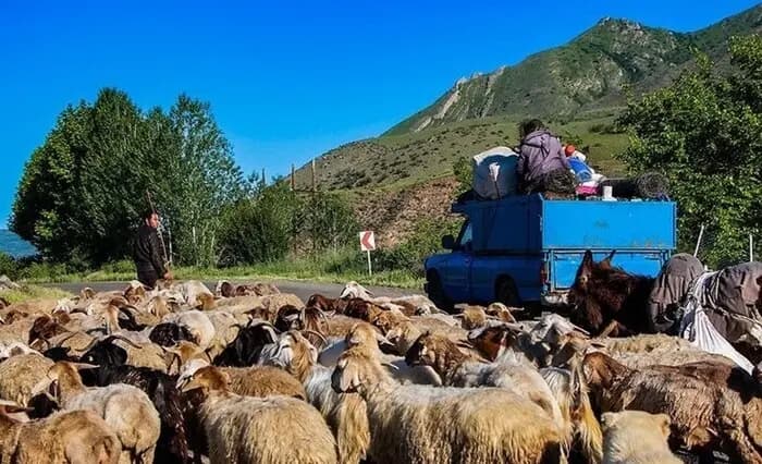 تصاویری از مغولستان در یک قرن پیش