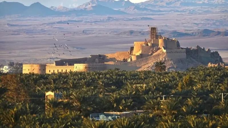 سودجویان به جان باغ شهر جهانی بم افتادند؛ ۶۰۰هکتار نخلستان خشک شد!