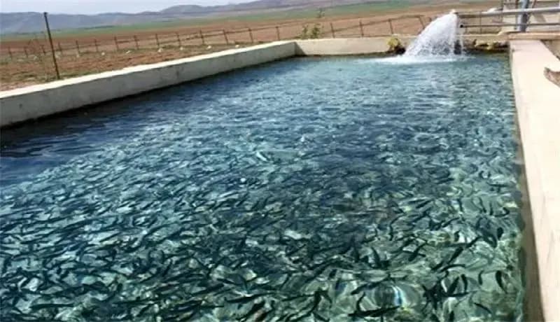 محورهای هفتگانه تفحص از شیلات/اعضای هیئت تحقیق انتخاب شدند