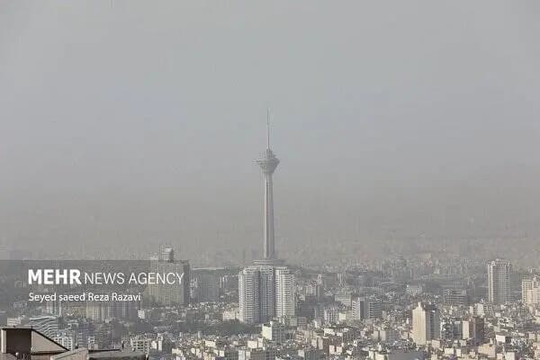 ترند