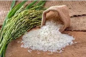 ماجرای یارانه ۹۰۰ هزار تومانی چیست؟/ مبلغ یارانه برای دهک‌های مختلف در خرداد ۱۴۰۴