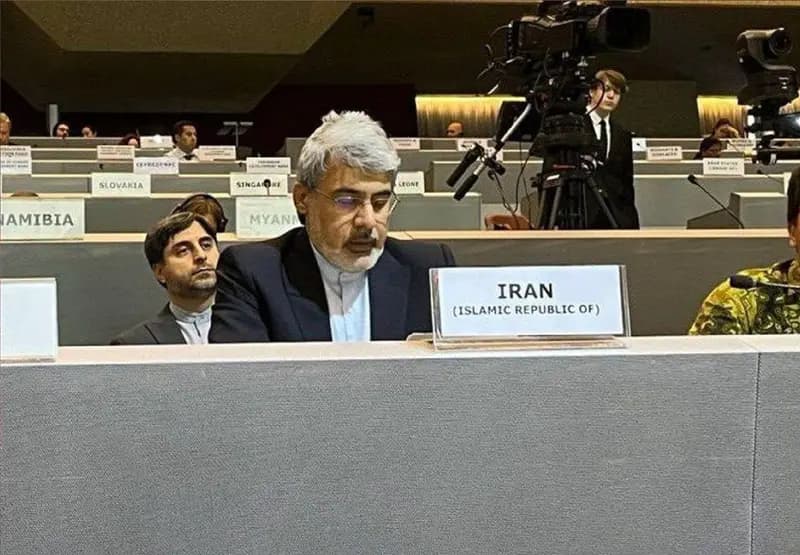 تأکید سفیر ایران بر لزوم بی‌طرفی اقدامات جهانی برای کاهش خطر بلایا