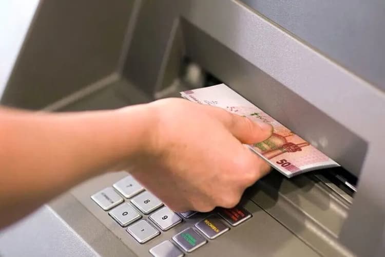 قیمت دام زنده امروز یکشنبه ۴ خرداد ۱۴۰۴