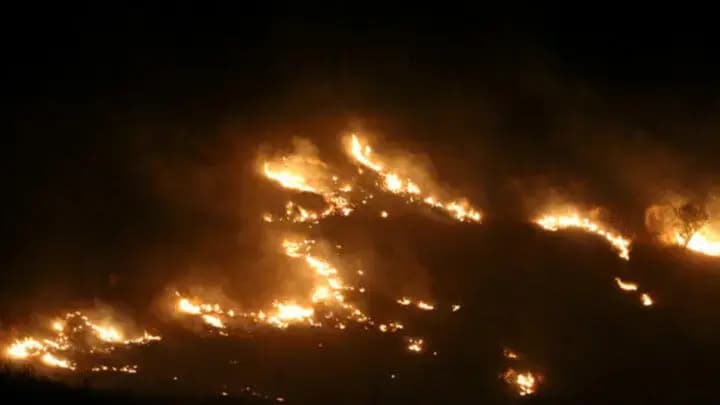 آتش‌سوزی در تالاب شادگان خوزستان