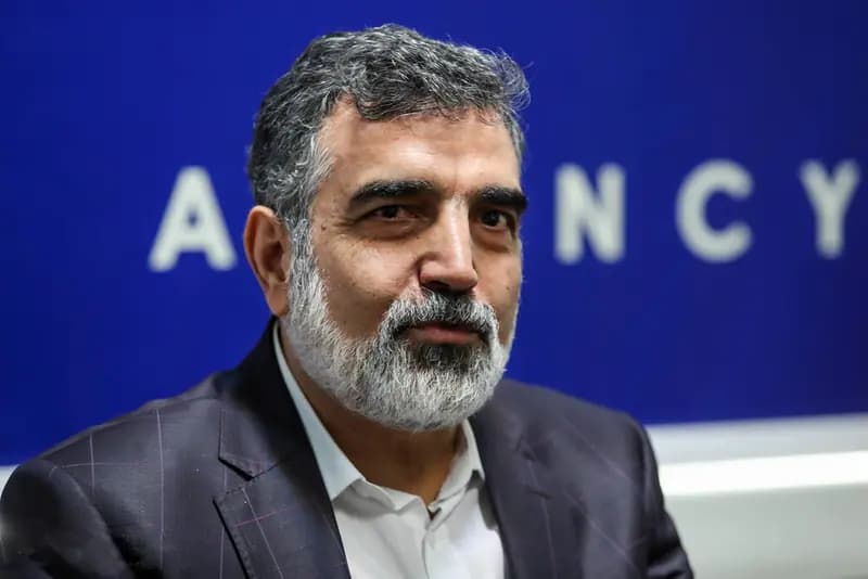 خط‌ونشان کمالوندی برای آژانس انرژی اتمی: همکاری را ادامه نمی‌دهیم +ویدیو