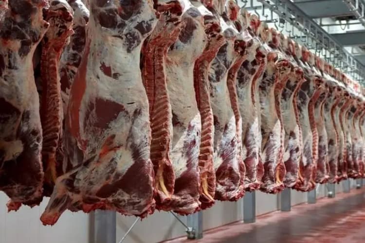 مسئولان روحیه خدمتگزاری را در خود تقویت کنند