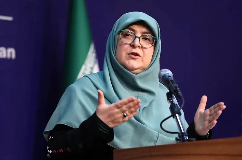 واکنش معنادار سخنگوی دولت به اظهارات جنجالی همتی