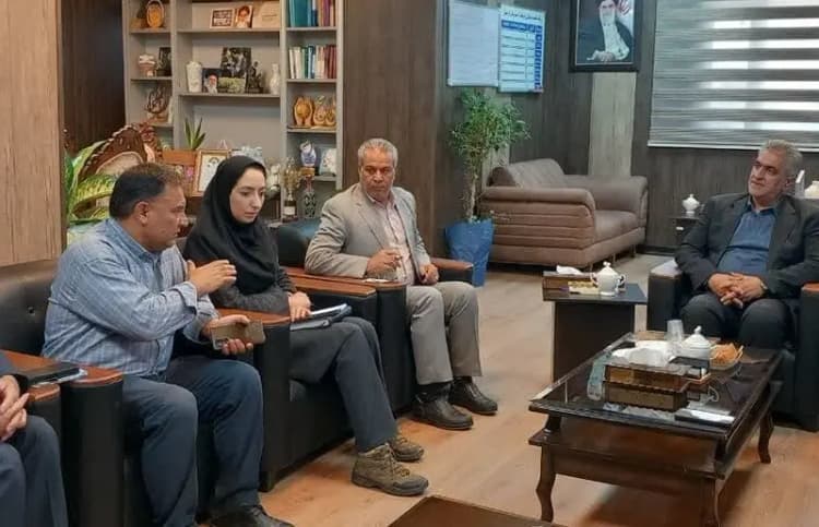خرید ۲۵۰ تن کلزا در کهگیلویه و بویراحمد؛پرداخت مطالبات به زودی