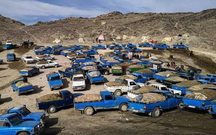 فیلم/ توضیحات پلیس در خصوص کشف ۲۰ میلیون تن سوخت قاچاق از یک روستای کوچک