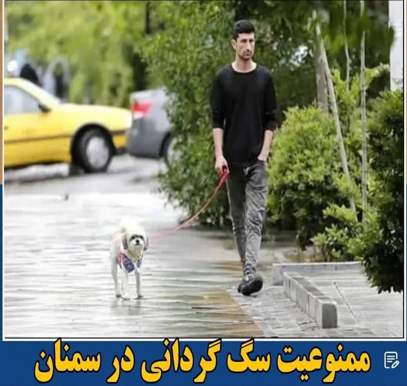 دستور دادستانی سمنان برای برخورد با سگ‌ گردانی