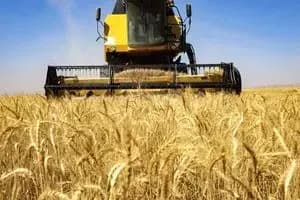 بحران بزرگ در منابع آبی ایران: بحرانی‌ترین سال آبی است