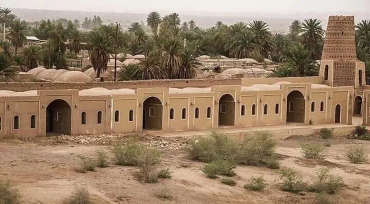 سودجویان به جان باغ شهر جهانی بم افتادند؛ ۶۰۰هکتار نخلستان خشک شد!