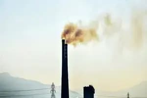 ترند