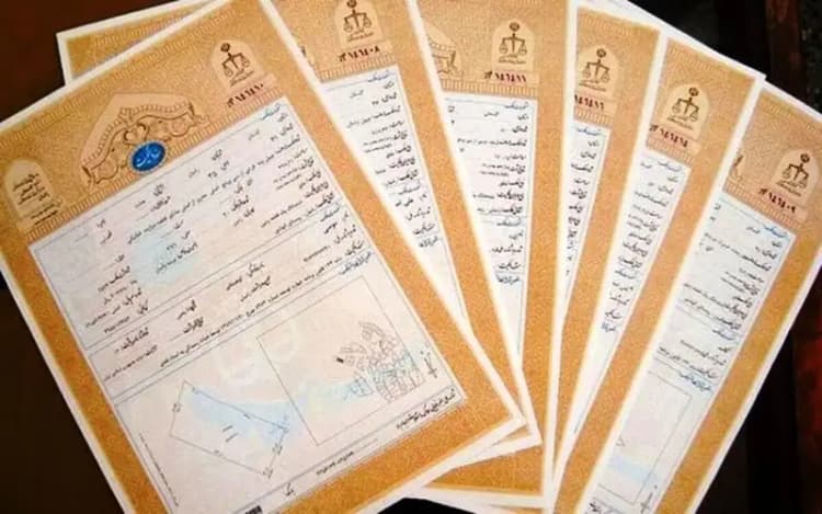 ترند