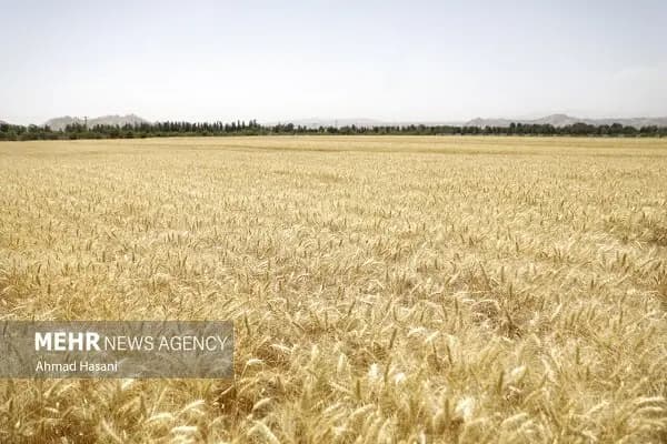 یک کارگر حین تخریب ساختمان در پودات اهواز جان باخت