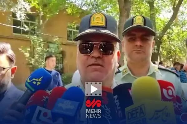 چرا شیر دادن به گربه‌ها اشتباه است؟