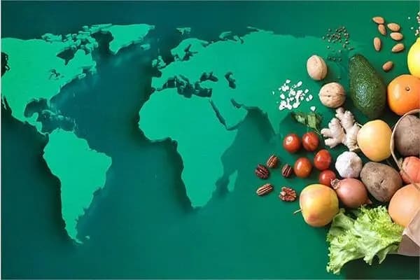 طرز تهیه دلمه برگ مو؛ محبوب‌ترین غذای فصل بهار