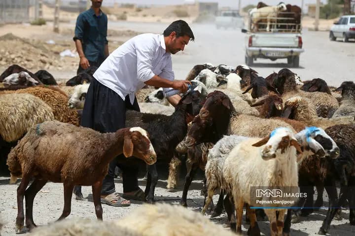 ترند
