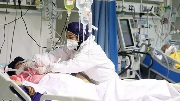 پاسخ عموی الهه حسین‌نژاد درباره ادعای سیاسی بودن برادرزاده‌اش