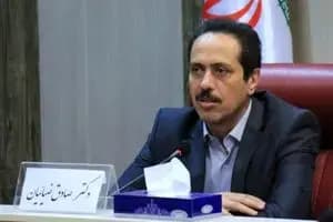 زمان کاشت و روش نگهداری کاهو در گلدان