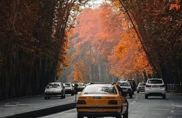 قتل پسر با چاقوی پدر بخاطر دختر
