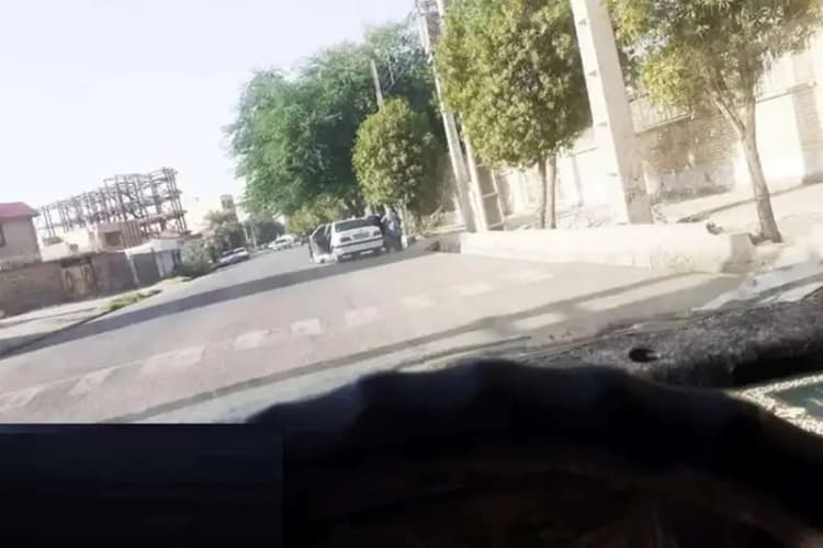 ترند