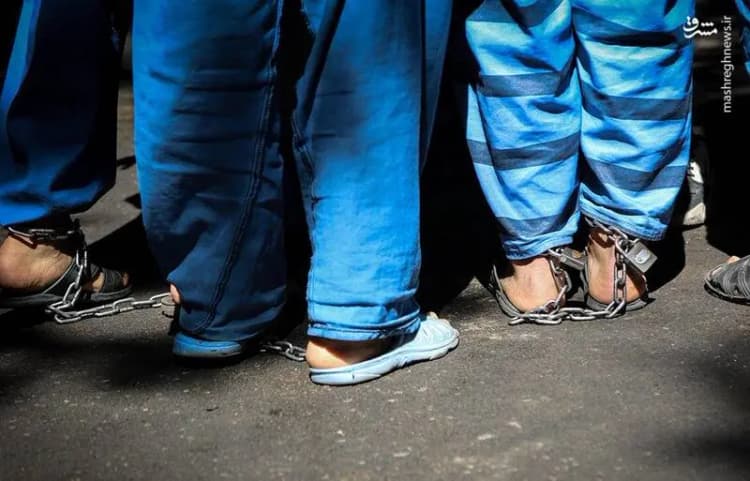کشتی حامل ۵۰ اتوبوس برقی به بندرعباس رسید