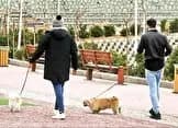 فاندبگیرها علیه ایران‌دوستان