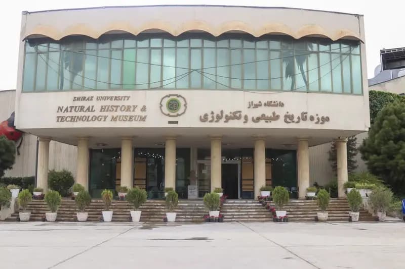 ترند