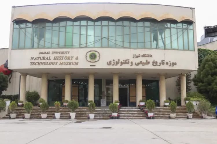 ترند