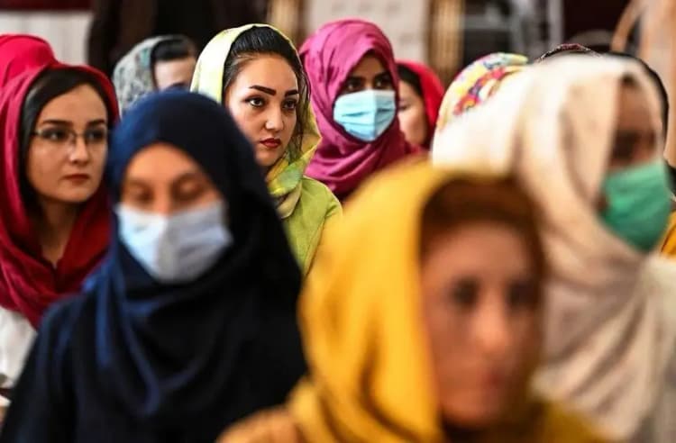 توله خرس بی مادر را از پارک پردیسان دزدیده اند؟/ سازمان محیط زیست، یک دوربین مداربسته ندارد؟