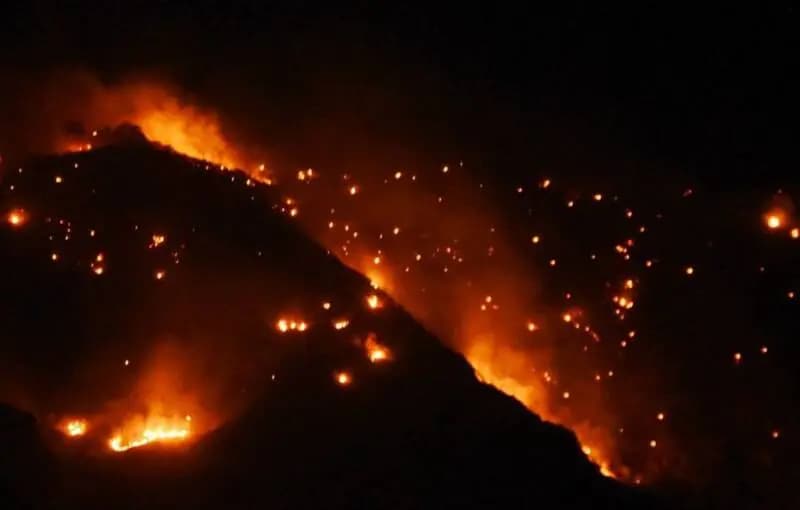 فیلم/ گزارشی از آتش‌سوزی جنگل گلستان