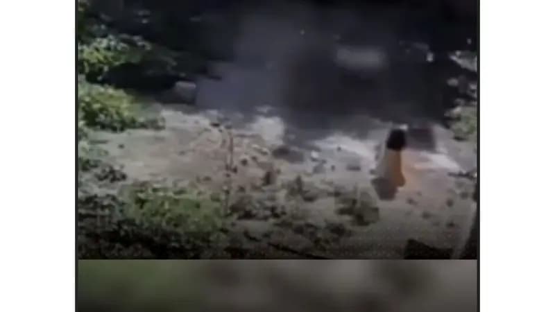 ترند