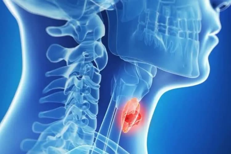 تجدید روابط دوستی و بررسی راهکارهای توسعه اقتصادی در سفر والی فراه