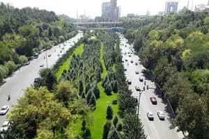 ترند