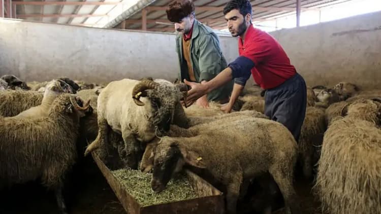 افشای اطلاعات تازه از لو رفتن سوالات امتحانات نهایی!