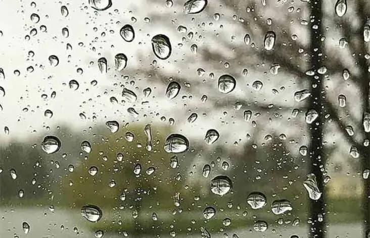 چرا فحاشان را فالو می‌کنیم؟