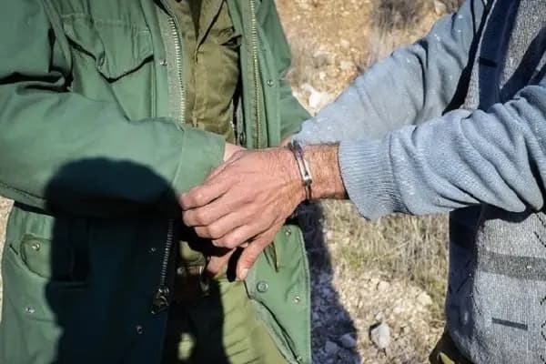 دستگیری ۲ شکارچی در منطقه تپال شاهرود؛ یک میش شکار شد