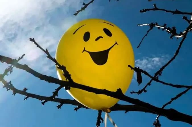 واکنش محیط زیست به خبر گم شد دومین توله خرس از پارک پردیسان