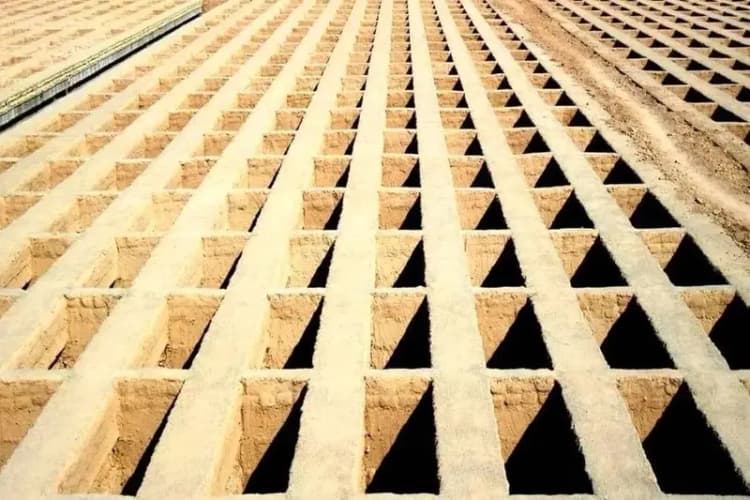 میادین و بازارهای میوه و تره‌بار در روزهای ۱۵ و ۱۶ خرداد باز است