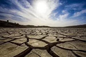 آغاز خرید توافقی پیاز از کشاورزان جنوب کشور + زمان